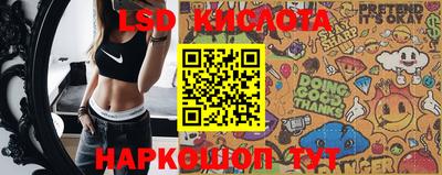 ПСИЛОЦИБИНОВЫЕ ГРИБЫ Берёзовский