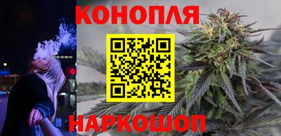 ешки Бийск