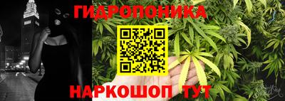 шишки Беслан