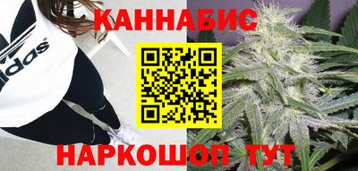 ешки Бийск