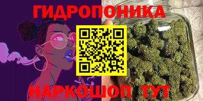 ешки Бийск
