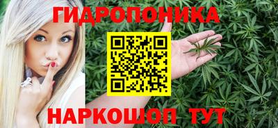 шишки Беслан