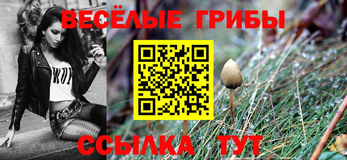 МЕТАМФЕТАМИН Киселёвск